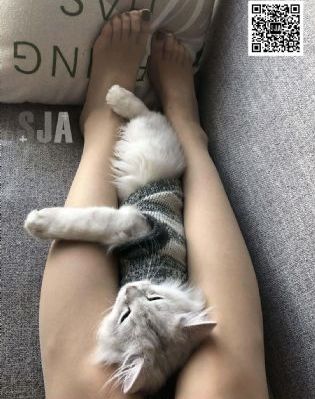 国产女处被破www免费