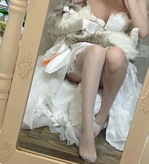 法医秦明免费全集观看